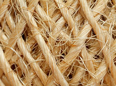 Sisal