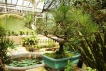 Wintergarten